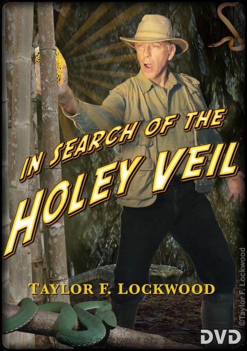 In Search of the Holey Veil - DVD