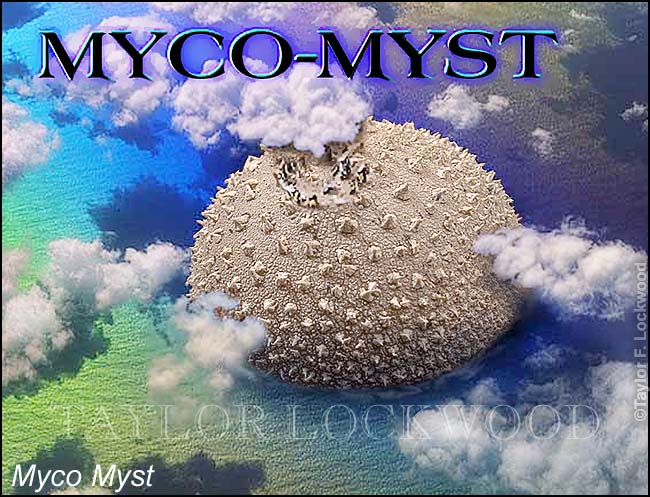 Myco Myst