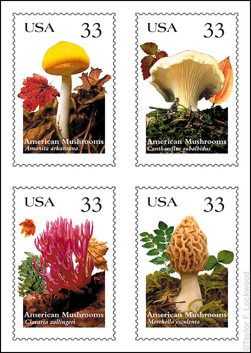Stamps 33
