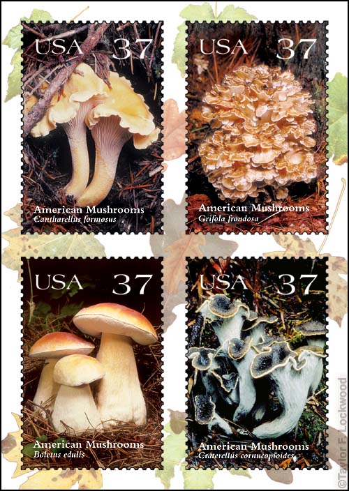 Stamps_37
