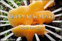Happy_New_Year