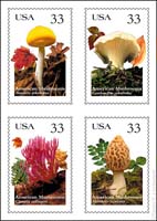 Stamps_33