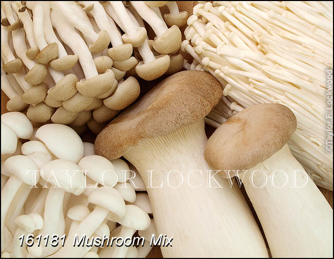 Mushroom Mix