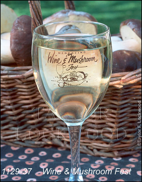 Wine & Mushroom Fest