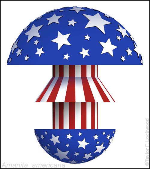Amanita americana