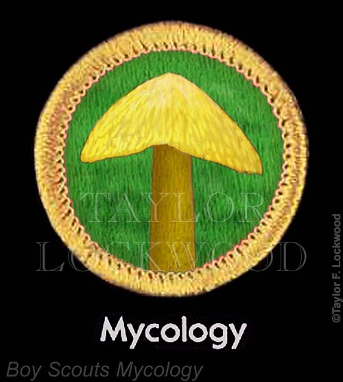 Boy Scouts Mycology
