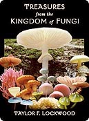 mushroom video