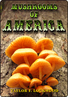Mushrooms of America